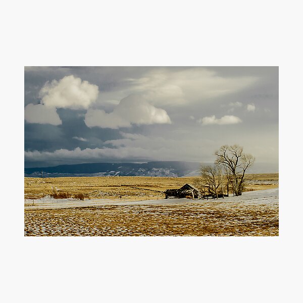 Item preview, Old Cabin in the Plains  designed and sold by Photopa.