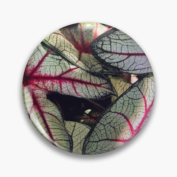 Item preview, Vibrant Elephant Ear Plant designed and sold by Haley Schwabland.