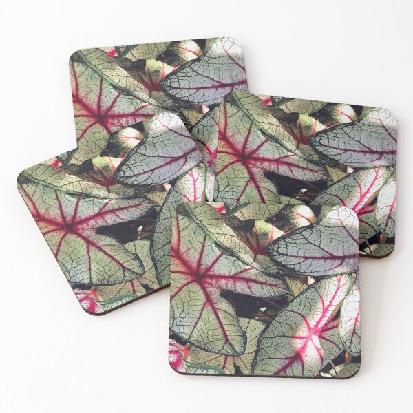 Item preview, Vibrant Elephant Ear Plant designed and sold by Haley Schwabland.