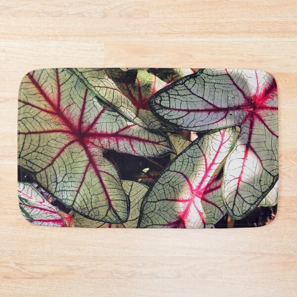 Item preview, Vibrant Elephant Ear Plant designed and sold by Haley Schwabland.