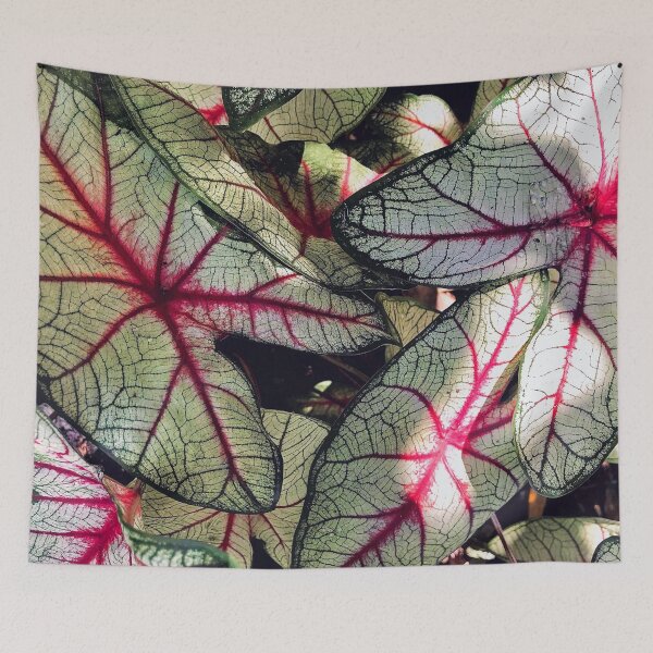 Item preview, Vibrant Elephant Ear Plant designed and sold by Haley Schwabland.