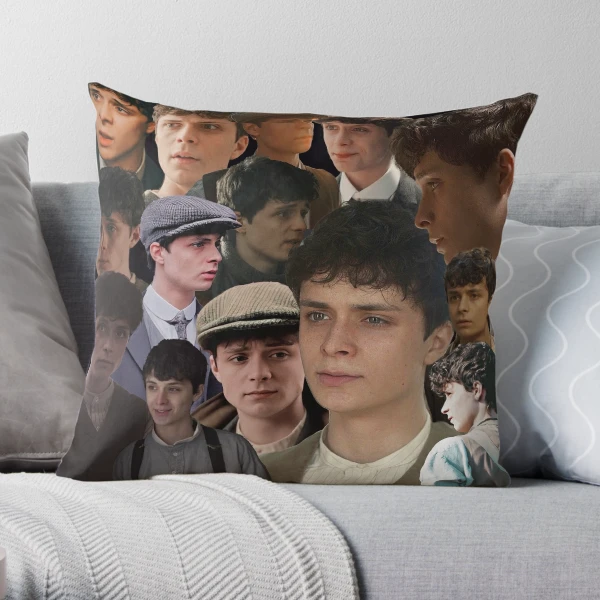 https://ih1.redbubble.net/image.1482897612.1007/throwpillow,large,600x-bg,f8f8f8-c,0,120,600,600.webp