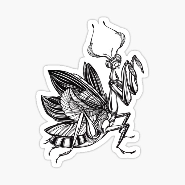 Praying Mantis Sticker For Sale By Mistergooseshop Redbubble