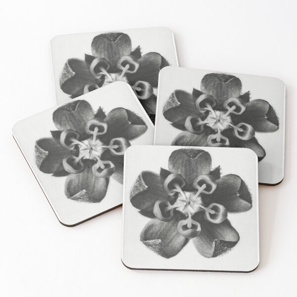 Item preview, milkweed. designed and sold by dusie.