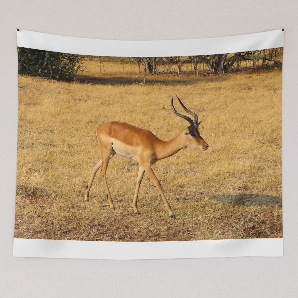 Item preview, Impala,  Chobe, Botswana, Africa designed and sold by FranWest.