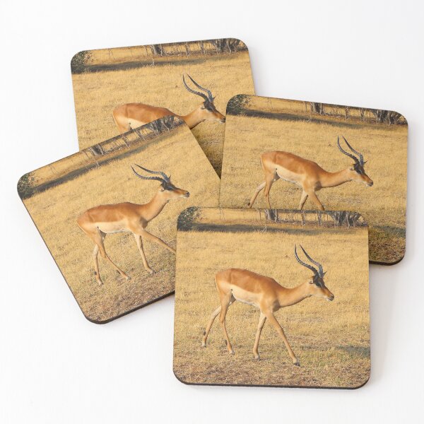 Aperçu de l'œuvre Impala, Chobe, Botswana, Afrique créée et vendue par FranWest.