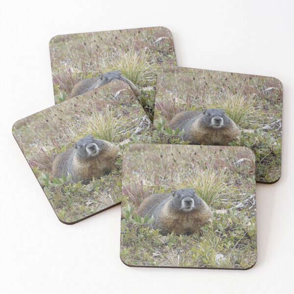 Item preview, Rocky Mountain NP Marmot designed and sold by Stratus13.