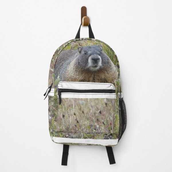 Item preview, Rocky Mountain NP Marmot designed and sold by Stratus13.