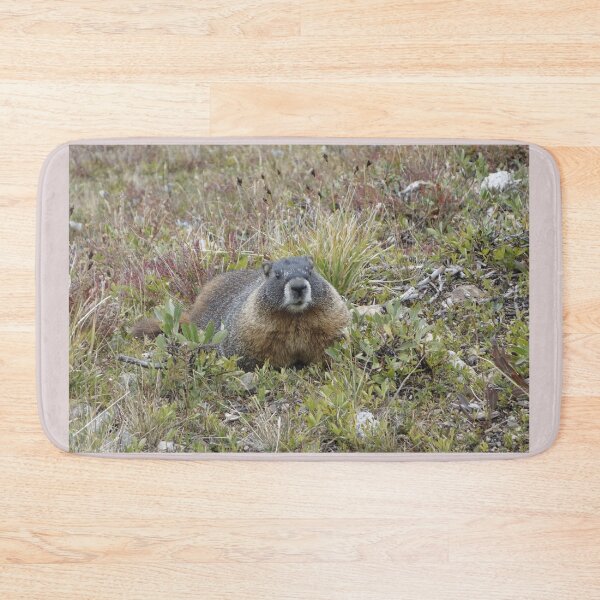 Item preview, Rocky Mountain NP Marmot designed and sold by Stratus13.