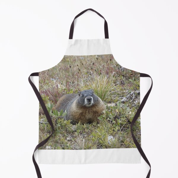 Item preview, Rocky Mountain NP Marmot designed and sold by Stratus13.