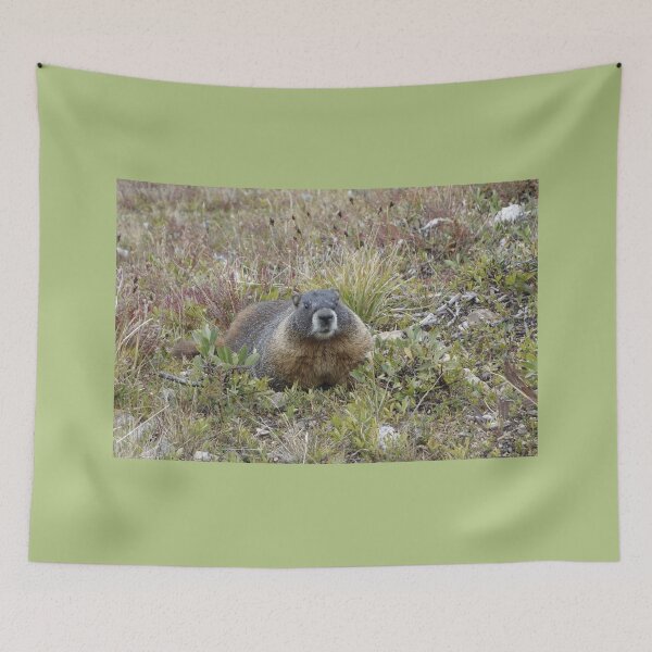 Item preview, Rocky Mountain NP Marmot designed and sold by Stratus13.
