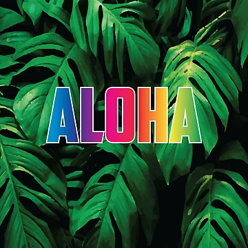 Artwork thumbnail, Aloha Rainbow by Reeks808