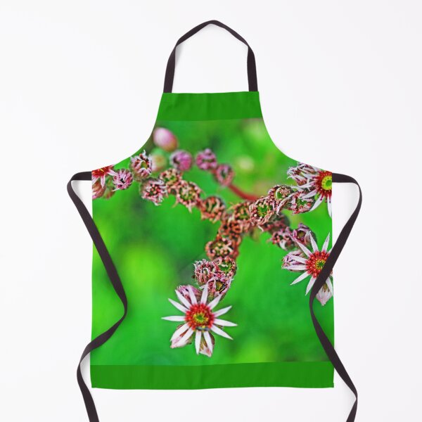 Item preview, Hen And Chicks Flowers designed and sold by Deb Oppermann.
