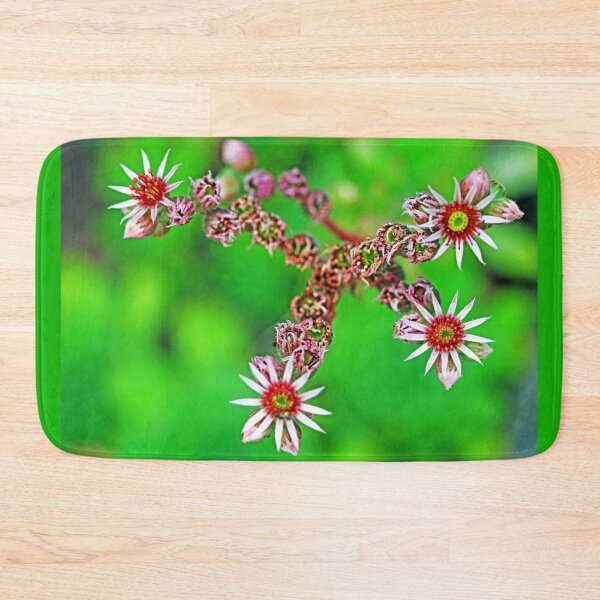 Item preview, Hen And Chicks Flowers designed and sold by Deb Oppermann.