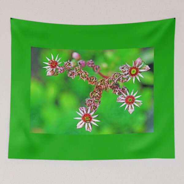 Item preview, Hen And Chicks Flowers designed and sold by Deb Oppermann.