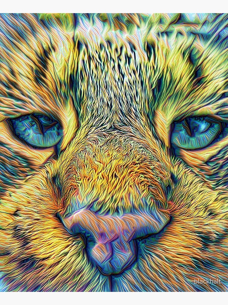 #DeepDreamed Cat by blackhalt