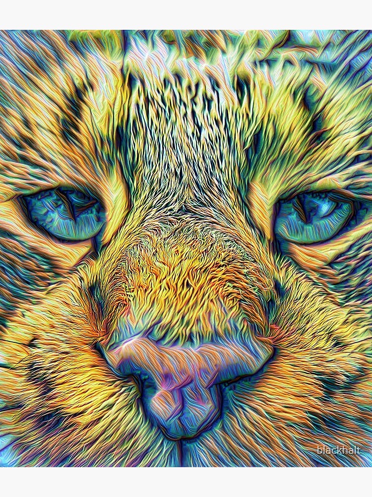 #DeepDreamed Cat by blackhalt