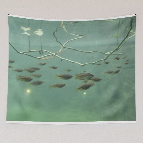 Item preview, Tropical fish designed and sold by lolla-doesstuff.