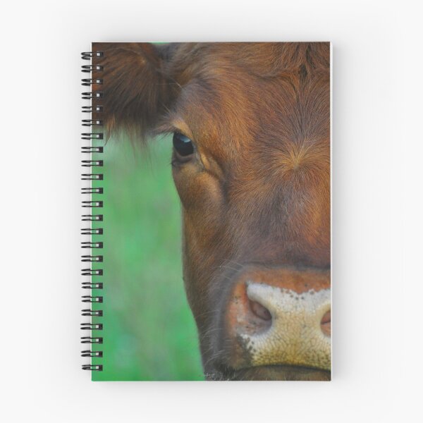 Item preview, Sweet Cow designed and sold by Michelle DuBose.