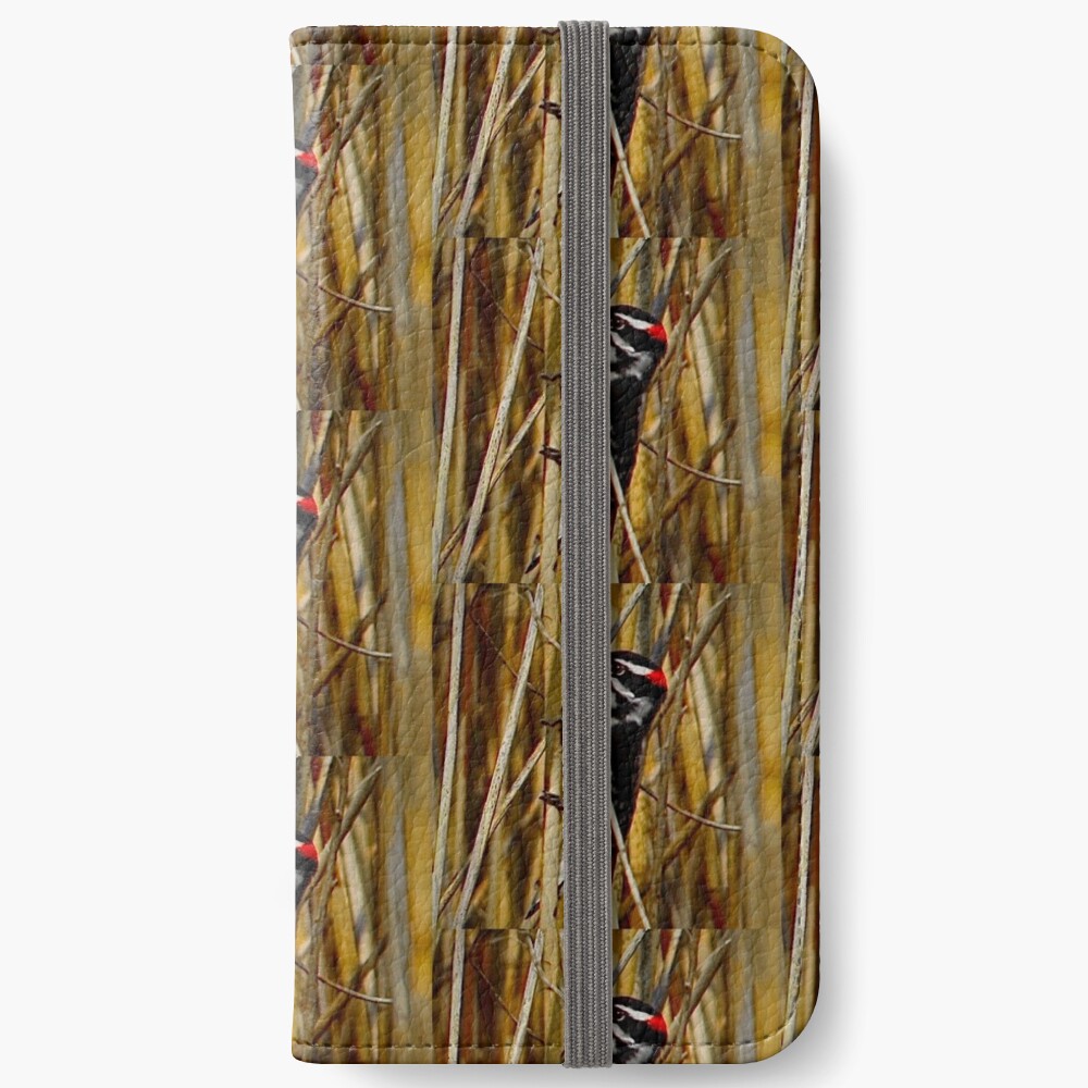 Red-headed woodpecker by Yannis Lobaina iPhone Wallet
