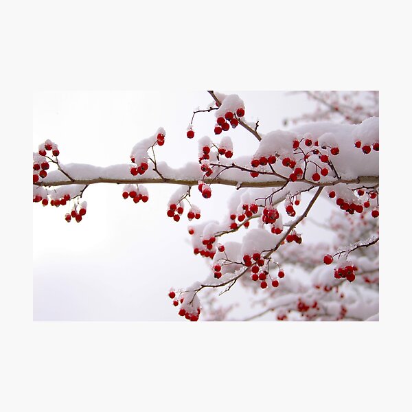 Item preview, Wintertime  designed and sold by Sylvia Lorson.