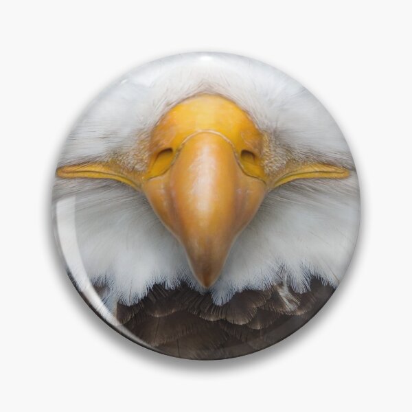 Item preview, Bald Eagle Bird Beak ~ Cute and Funny Animal Nose and Mouth Medical Face Masks ~ 14 designed and sold by Neon-Wolf.