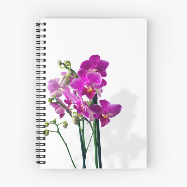 Item preview, Orchid cheer designed and sold by rukhimonster.