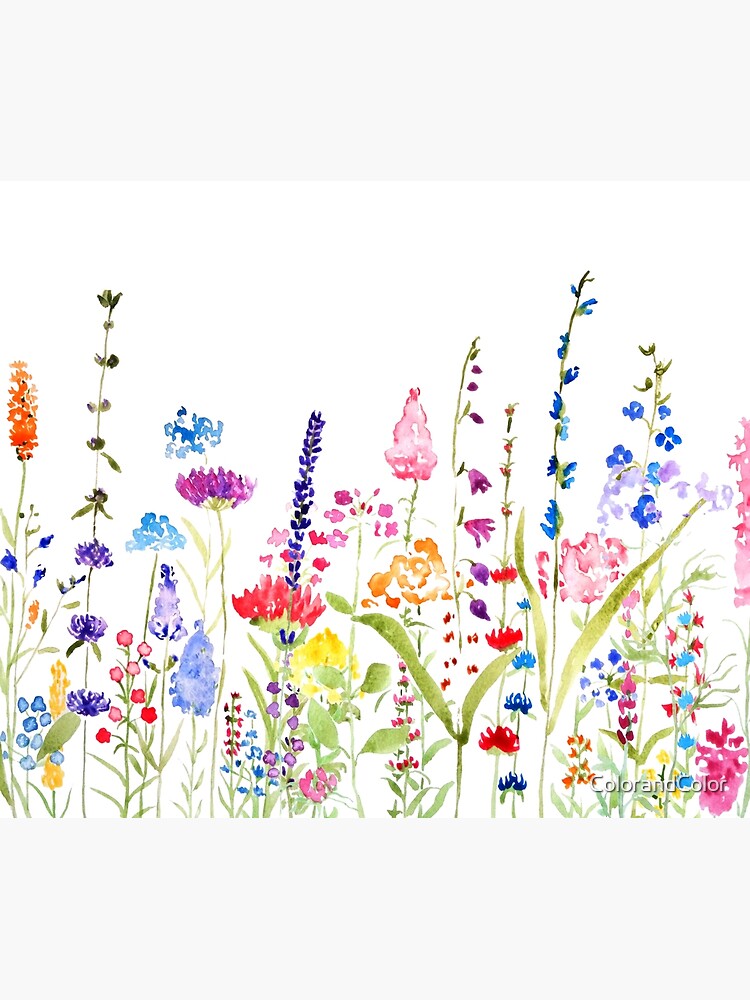 colorful wild flower field by ColorandColor