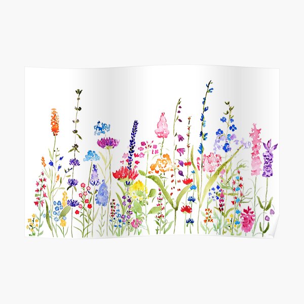 colorful wild flower field Poster