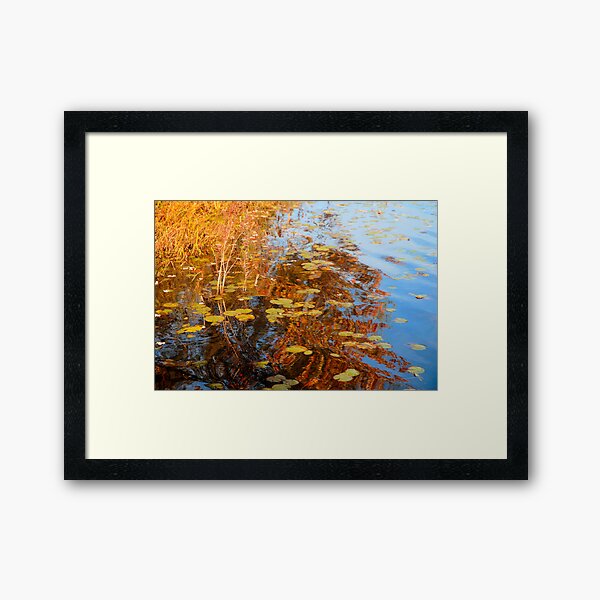 Fall Colors Framed Art Print