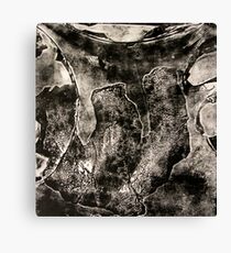 The Flight Of Icarus Canvas Print