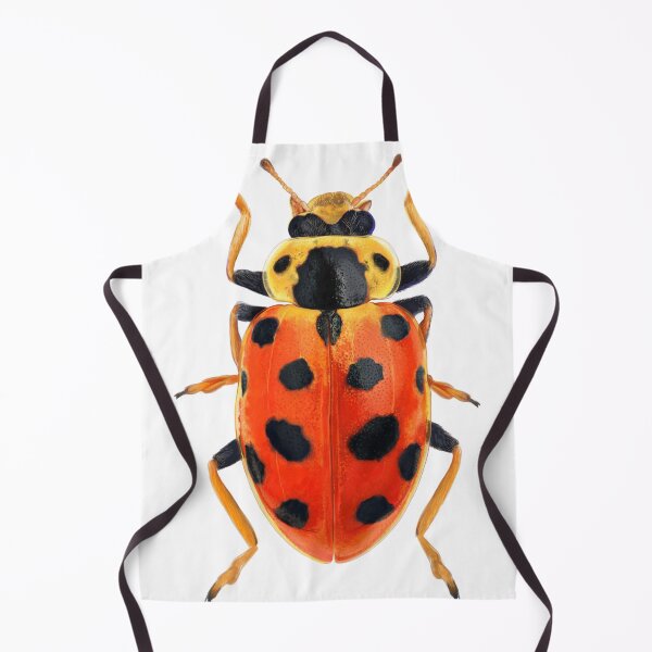 Item preview, Orange Beetle designed and sold by dcrownfield.
