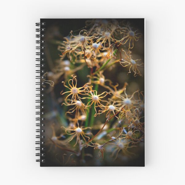 Item preview, Winters Lines, the petals are done designed and sold by Lozzar Flowers & Art.
