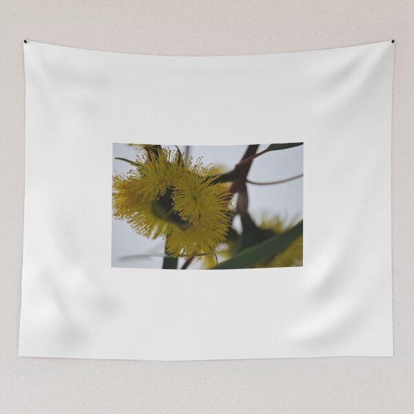 Item preview, Eucalyptus Erythrocorys, side view designed and sold by Lozzar Flowers & Art.