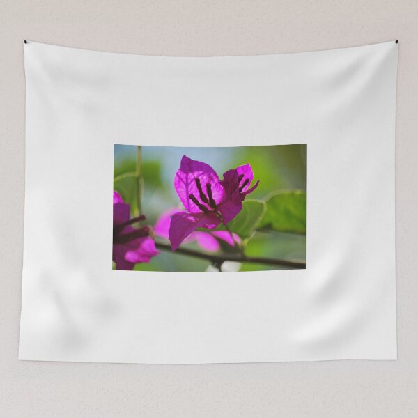 Item preview, Bougainvillea designed and sold by Lozzar Flowers & Art.
