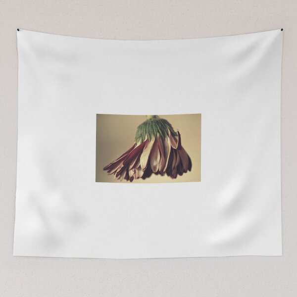Item preview, Dance with Me Gebera designed and sold by Lozzar Flowers & Art.
