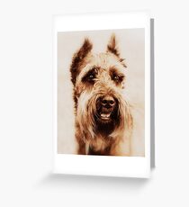 Miniature Schnauzer Greeting Card