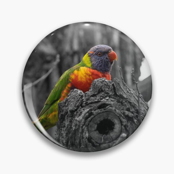Item preview, Birds Series - Tropical Rainbow Lorikeet designed and sold by Photoluminous.