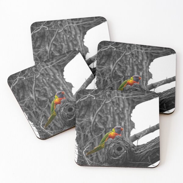 Item preview, Birds Series - Tropical Rainbow Lorikeet designed and sold by Photoluminous.