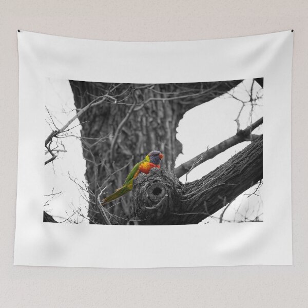 Item preview, Birds Series - Tropical Rainbow Lorikeet designed and sold by Photoluminous.