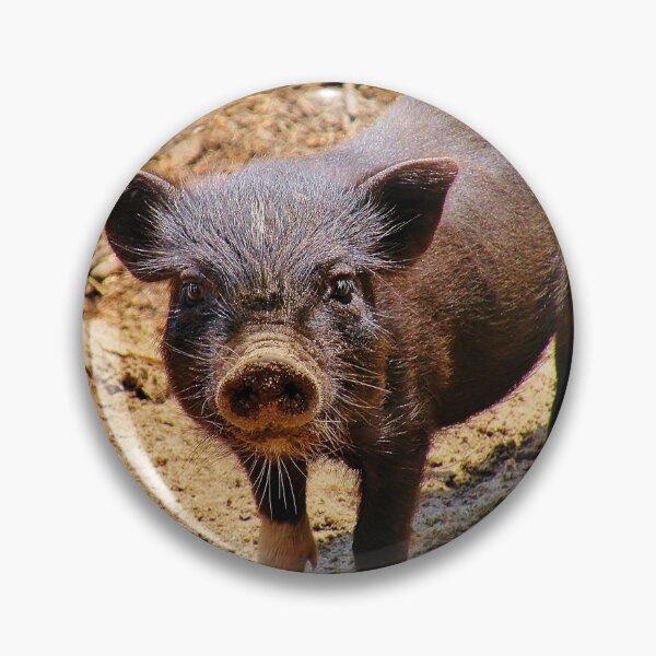 Item preview, A Confident Little Porker designed and sold by Martha Sherman.
