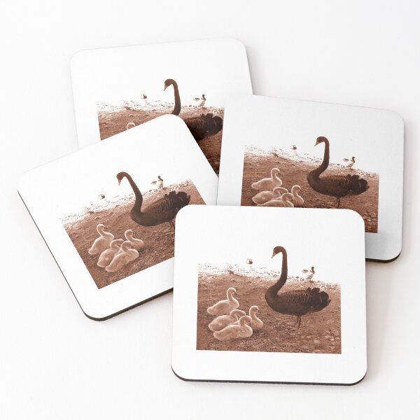 Item preview, Swan and chicks : photograph designed and sold by Roz McQuillan Fine Art & Photography.