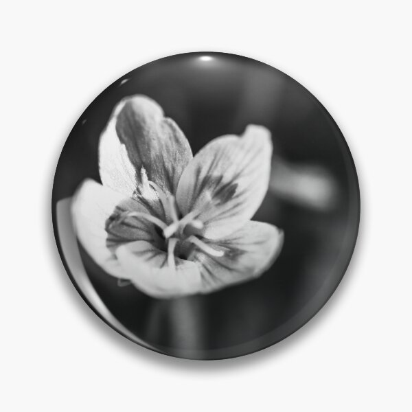 Item preview, Delicate designed and sold by OutBeyond.