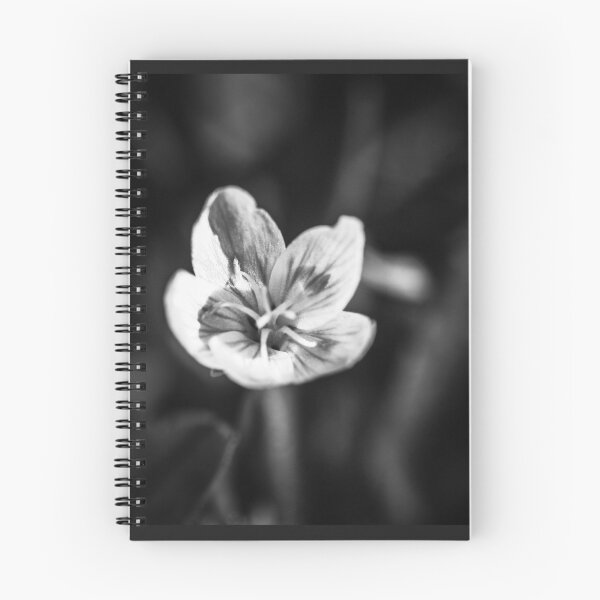 Item preview, Delicate designed and sold by OutBeyond.