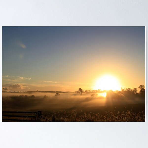 Artikelvorschau, Foggy Sunrise entworfen und verkauft von Jenelle  Irvine.