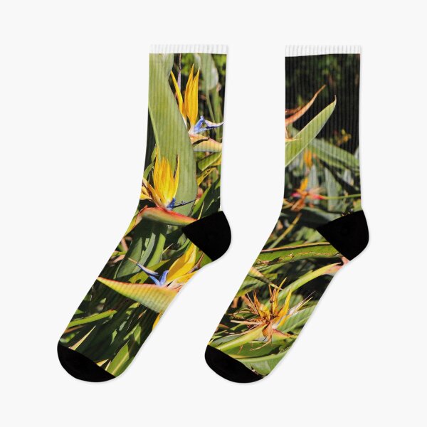 Item preview, Yellow strelitzias, bird of Paradise flowers in Africa designed and sold by FranWest.