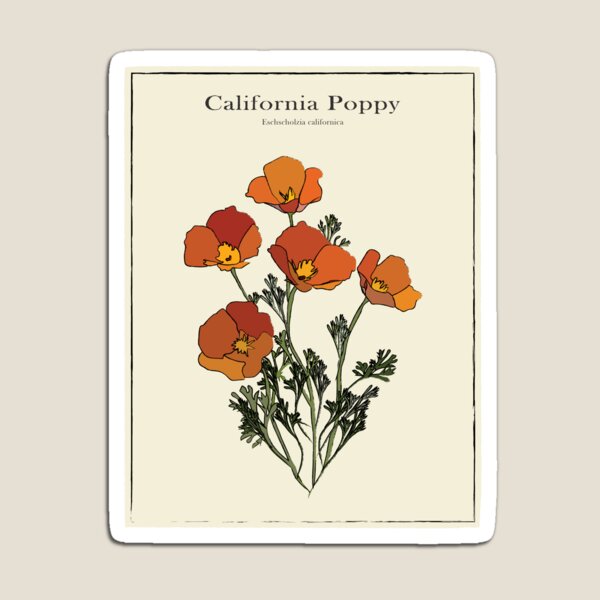 Item preview, California Poppy Vintage Botanical Poster designed and sold by cocotoe.