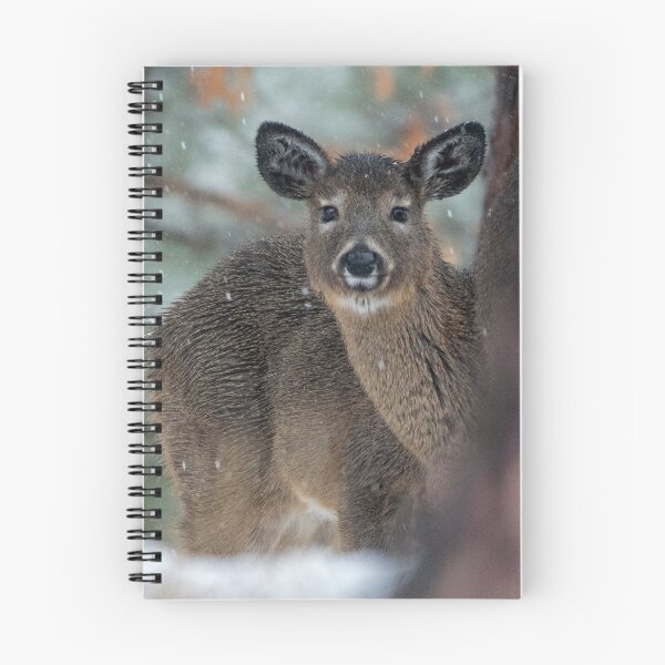 Item preview, White-tailed deer in winter designed and sold by TheCurators.