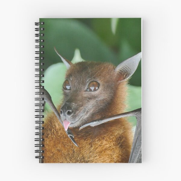 Item preview, Batzilla - Cute Australian Rescue Bat Sticking His Tongue Out designed and sold by Plant Based  Athletx.