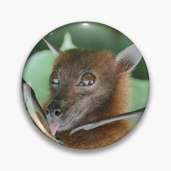 Item preview, Batzilla - Cute Australian Rescue Bat Sticking His Tongue Out designed and sold by Plant Based  Athletx.